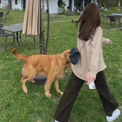 没有留下名片的陌生人