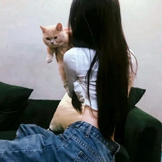 疯狂食人鲨